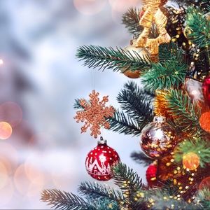 Meet your Posher, Isabella